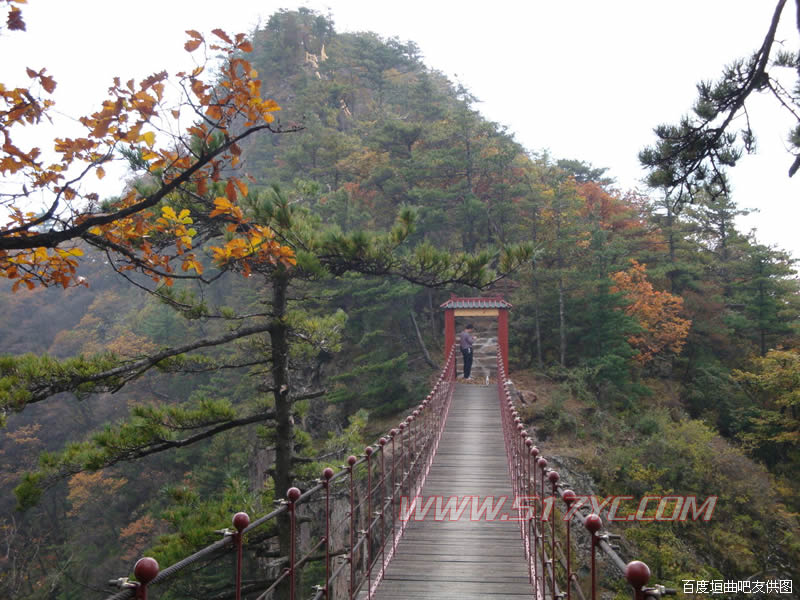 垣曲历山 - 华北最大原始森林 - 垣曲 - 运城旅游网